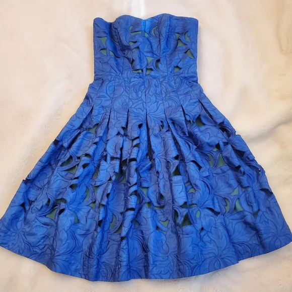 betsey johnson embroidered dress MODERN BETSEY JOHNSON Bug Floral Embroidered Cotton Dress main image 1